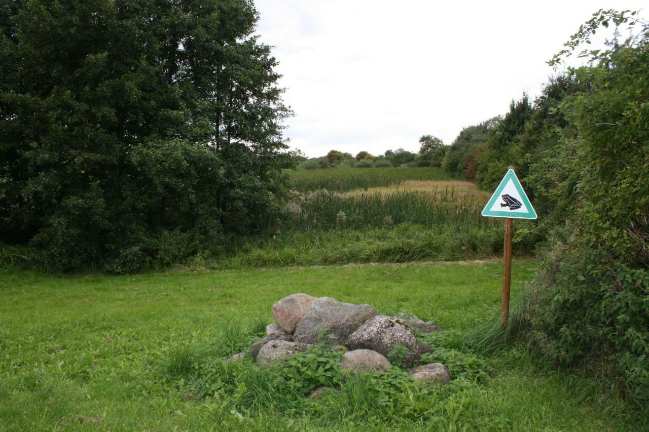 Landpension Zum Schweizerberg Neugrimnitz Luaran gambar