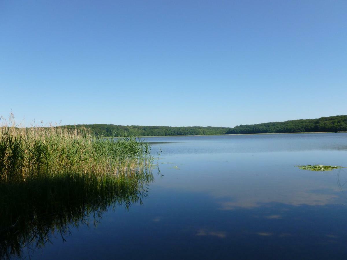 Landpension Zum Schweizerberg Neugrimnitz Luaran gambar