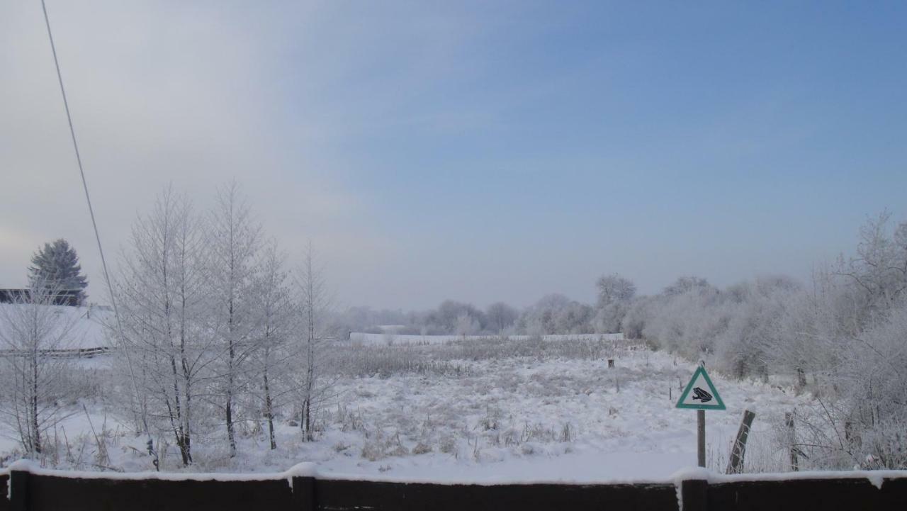 Landpension Zum Schweizerberg Neugrimnitz Luaran gambar