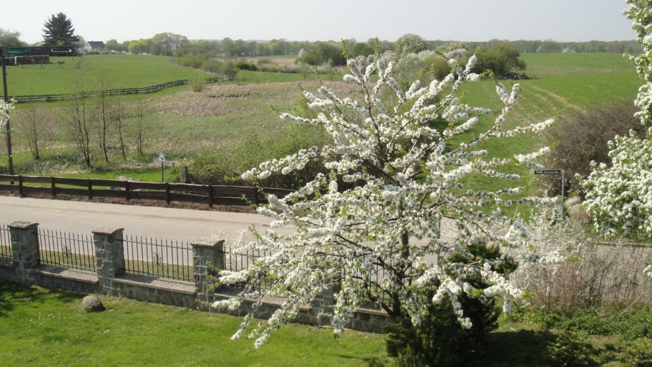 Landpension Zum Schweizerberg Neugrimnitz Luaran gambar