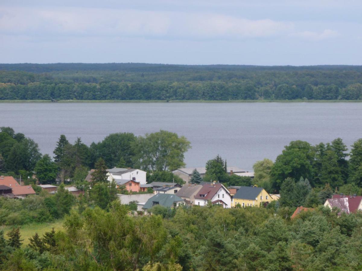 Landpension Zum Schweizerberg Neugrimnitz Luaran gambar
