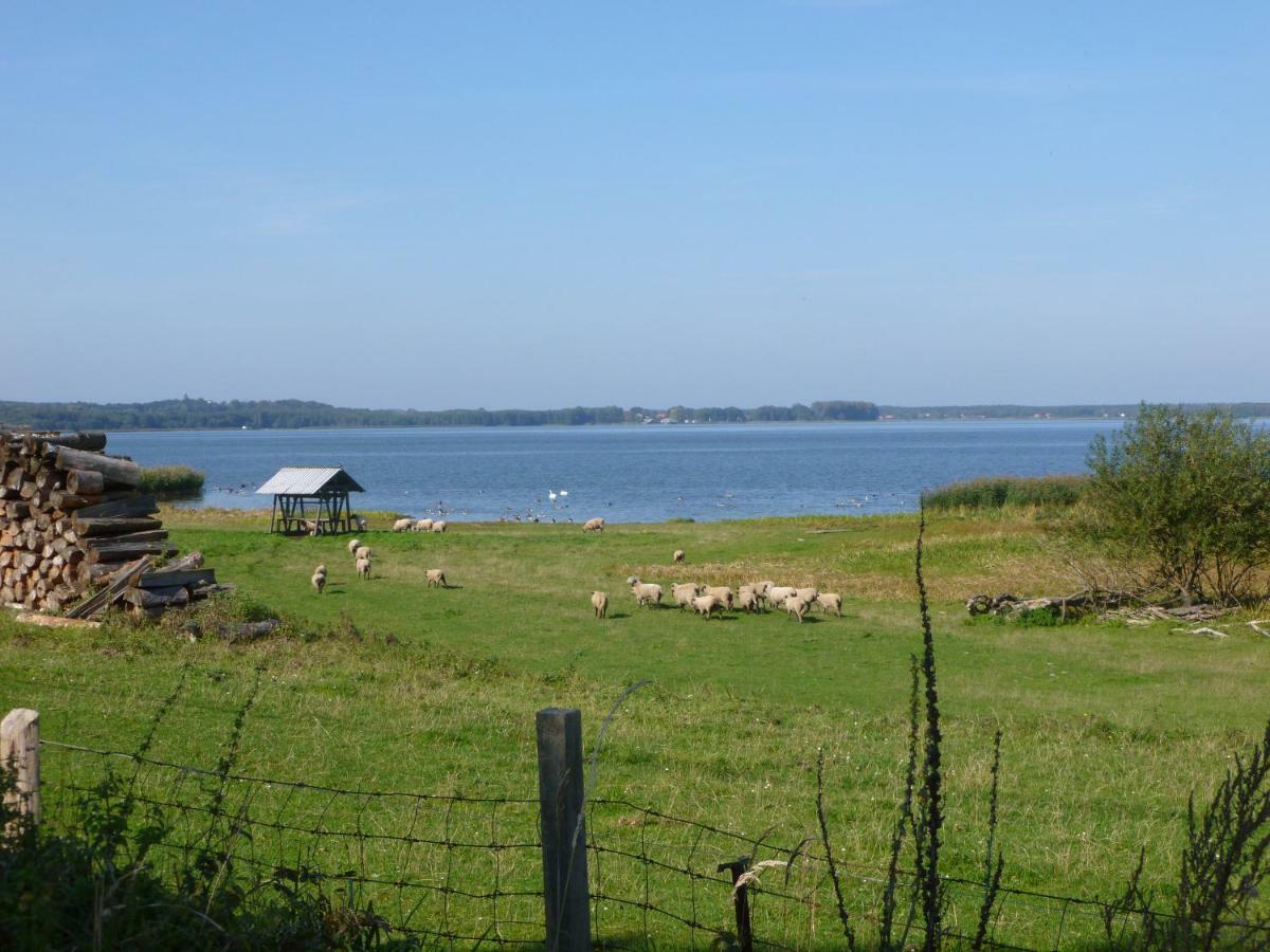 Landpension Zum Schweizerberg Neugrimnitz Luaran gambar